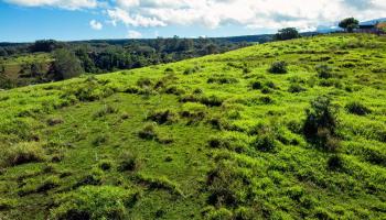 1545 Kaupakalua Rd Haiku, Hi 96708 vacant land - photo 5 of 30
