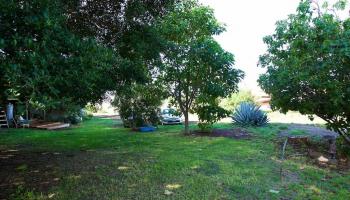 155 Fleming Rd Lahaina, Lahaina home - photo 5 of 12