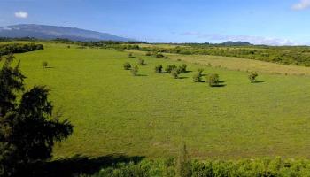 155 Kai Poi Pl  Haiku, Hi vacant land for sale - photo 2 of 25