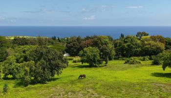 155 Manawai Pl  Haiku, Hi vacant land for sale - photo 2 of 15