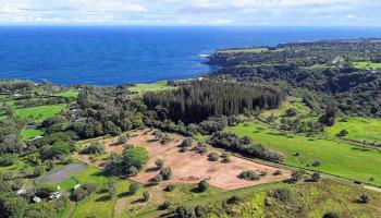 155 Manawai Pl  Haiku, Hi vacant land for sale - photo 5 of 15