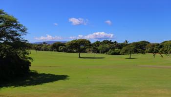 Grand Champions condo # 147, Kihei, Hawaii - photo 5 of 30