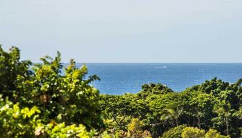 Grand Champions condo # 114, Kihei, Hawaii - photo 3 of 22