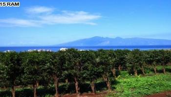 1555 Aina Mahiai St Lot 27 Lahaina, Hi 96761 vacant land - photo 5 of 5