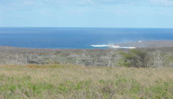 1560  Kalua Koi Rd , Molokai home - photo 3 of 11