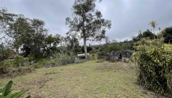 1575  Kamehameiki Rd Upper Kula, Kula/Ulupalakua/Kanaio home - photo 6 of 37