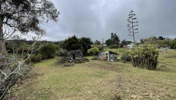 1575 Kamehameiki Rd   - photo 4 of 39