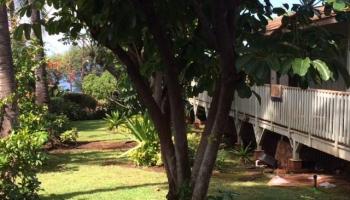1585 Ainakea Rd Lahaina, Lahaina home - photo 3 of 12 1585 Ainakea Rd Lahaina, Lahaina home - photo 3 of 12