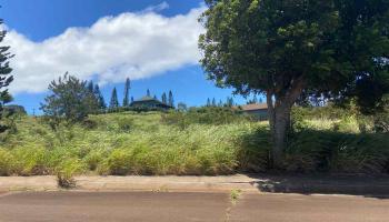 15D MAHIKI Pl  Maunaloa, Hi vacant land for sale - photo 4 of 7