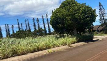 15D MAHIKI Pl Maunaloa, Hi 96770 vacant land - photo 5 of 7