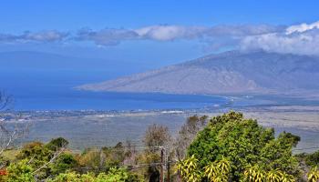 16  Kekaulike Ave , Kula/Ulupalakua/Kanaio home - photo 4 of 50