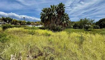 16  Waipuilani Rd , Kihei home - photo 5 of 6