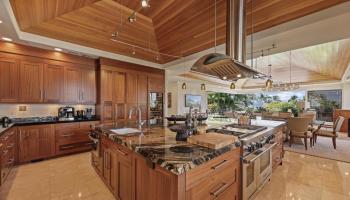 160  Heleuma Pl Wailea, Wailea/Makena home - photo 5 of 50