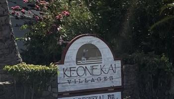 Keonekai Villages condo # 8-204, Kihei, Hawaii - photo 1 of 29