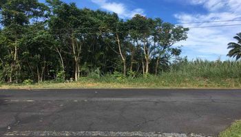 160 Uwala Rd  Hana, Hi vacant land for sale - photo 4 of 30