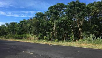 160 Uwala Rd  Hana, Hi vacant land for sale - photo 5 of 30