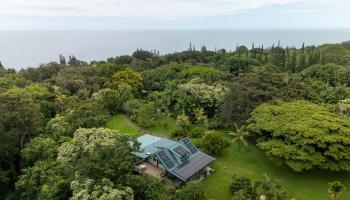 1600  Lower Nahiku Rd ,  home - photo 1 of 37