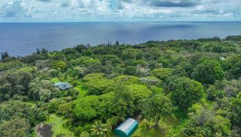 1600  Lower Nahiku Rd Lower Nahiku, Hana home - photo 3 of 23