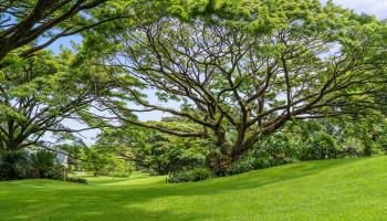 1600  Lower Nahiku Rd Lower Nahiku, Hana home - photo 6 of 23