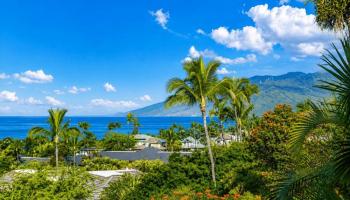 Wailea Town Center condo # C-203, Kihei, Hawaii - photo 3 of 29