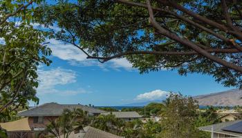 162  Aha'aina Way North Kihei, Kihei home - photo 4 of 32