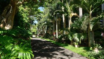 1642  Kuiaha Rd West Kuiaha, Haiku home - photo 5 of 50