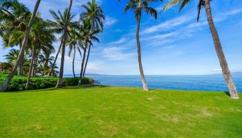 1656  Halama St , Kihei home - photo 6 of 42