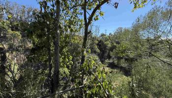 1669  Makawao Ave , Makawao/Olinda/Haliimaile home - photo 2 of 2