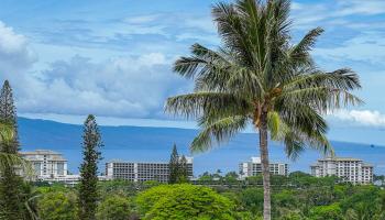 167 Anapuni Loop 26 Lahaina, Hi vacant land for sale - photo 3 of 35