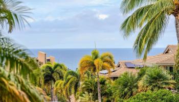 168  Ahekolo Pl Kilohana Ridge, Kihei home - photo 4 of 48