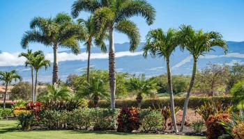 Hokulani Golf Villas condo # 11, Kihei, Hawaii - photo 1 of 33