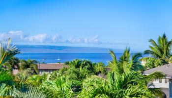 17  Kahana Ridge Pl Kahana Ridge, Napili/Kahana/Honokowai home - photo 2 of 50