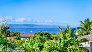 17  Kahana Ridge Pl Kahana Ridge, Napili/Kahana/Honokowai home - photo 2 of 50