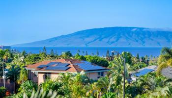 17  Kahana Ridge Pl Kahana Ridge, Napili/Kahana/Honokowai home - photo 3 of 50