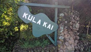17  Kau St , Kula/Ulupalakua/Kanaio home - photo 2 of 16