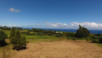 17 Manawai Pl Lot 1 Haiku, Hi 96708 vacant land - photo 3 of 4 17 Manawai Pl Lot 1 Haiku, Hi 96708 vacant land - photo 3 of 4