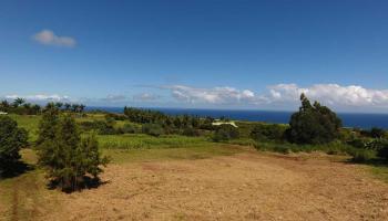 17 Manawai Pl Lot 1  Haiku, Hi vacant land for sale - photo 3 of 4