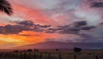172  Ikea Pl Pukalani, Makawao/Olinda/Haliimaile home - photo 3 of 43