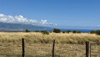 172  Ikea Pl Pukalani, Makawao/Olinda/Haliimaile home - photo 4 of 43