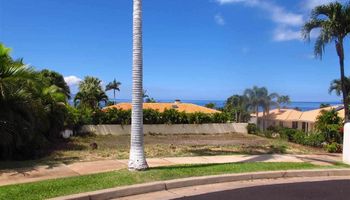 172 Ikea Kai Pl Lot 50 Kihei, Hi vacant land for sale - photo 3 of 5