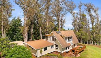 1733  Piiholo Rd , Makawao/Olinda/Haliimaile home - photo 4 of 23