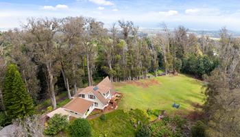 1733  Piiholo Rd , Makawao/Olinda/Haliimaile home - photo 5 of 23