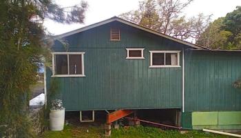 17491  Piilani Hwy , Kula/Ulupalakua/Kanaio home - photo 6 of 6