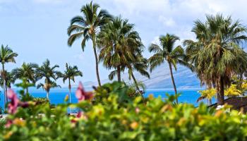 175  Ikea Moku Pl Wailea, Wailea/Makena home - photo 5 of 50