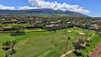 175  Ulukoa Pl Kaanapali, Kaanapali home - photo 3 of 50