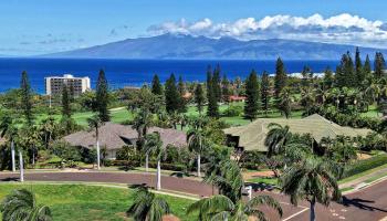 175  Ulukoa Pl Kaanapali, Kaanapali home - photo 4 of 50