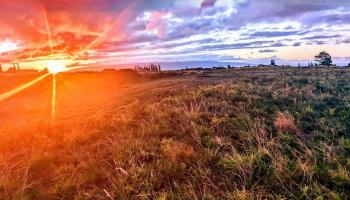 179 Kaluanui Rd Unit A Makawao, Hi vacant land for sale - photo 1 of 5