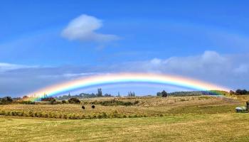 179 Kaluanui Rd Unit A Makawao, Hi vacant land for sale - photo 2 of 5