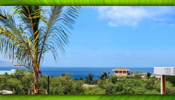 179  Lolowaa Pl Wailea, Wailea/Makena home - photo 6 of 50