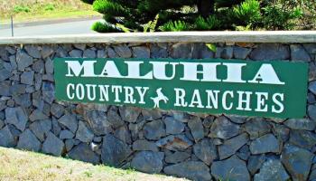 18 Lahaole Pl MCR 46 Wailuku, Hi vacant land for sale - photo 2 of 14